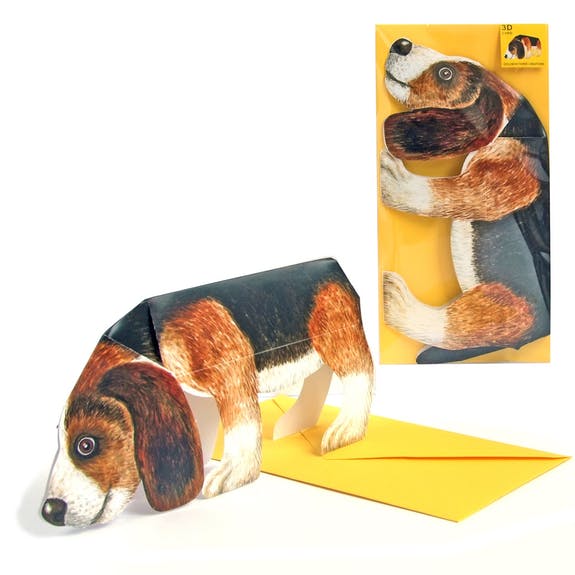 3D Κάρτα Beagle
