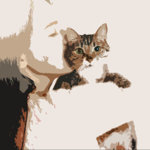 πορτραιτο γάτας πορτραιτο κατοικιδίου