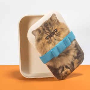lunchbox με γατες
