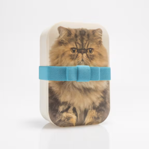 lunchbox με γατες δοχειο φαγητου