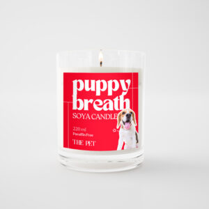 Puppy Breath THE PET keri sogias beagle