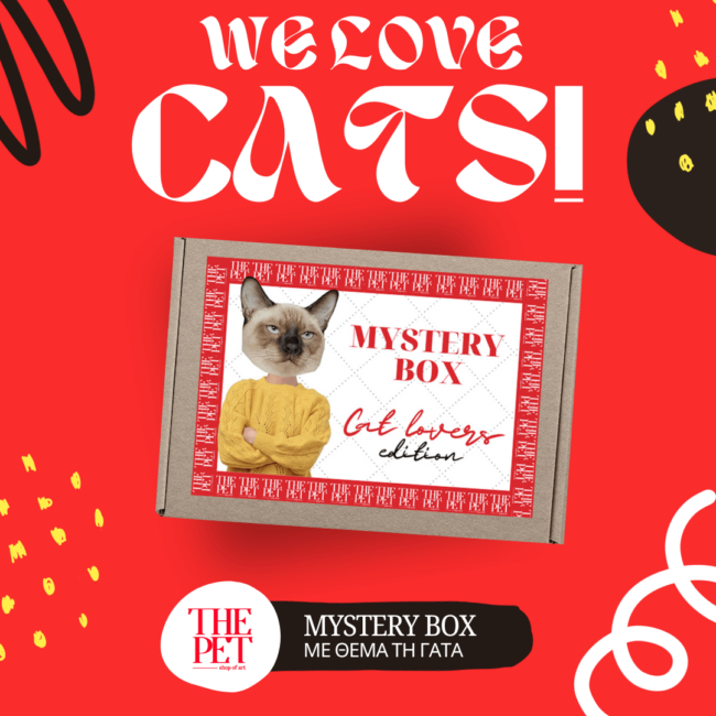 mystery box gata the pet