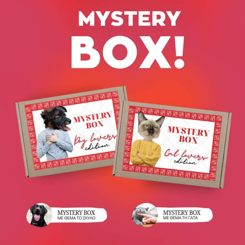 mystery box the pet