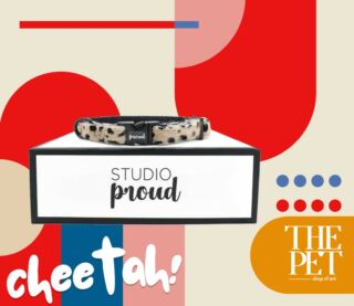 Cheetah περιλαίμιο με σετ λουρί και σαμαράκι 🐆 Για πρώτη φορά στην Ελλάδα από το Βερολίνο, η limited designer’s collection του Studio Proud, για κομψές εμφανίσεις όπου κι αν πηγαίνετε!www.the-pet.shop
#THEPET #StudioProud