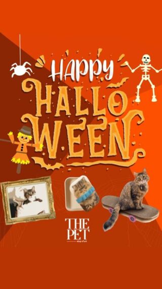 Happy Halloween με meow spooky offers από το THE PET!#thepetartshop #halloween