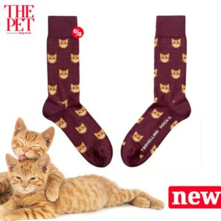 📢 Just Arrived: H γάτα σου σε... υπέροχες, μαλακές κάλτσες 🐱🧦Αυτές οι βαμβακερές unisex κάλτσες είναι από υλικά υψηλής ποιότητας, εξαιρετικά άνετες και δίνουν μια funky στυλιστική πινελιά στο συνολικό σου ντύσιμο! Διατηρουν το σχήμα τους και δεν σε περιορίζουν στην περιοχή της γάμπας, λόγω της φαρδιάς φάσας στις ραφές τους.Από τα Νο 1 δώρα για φιλόζωους βρες το στο THE PET σε προσφορά γνωριμίας!#THEPET #catgifts #cats #giftideas
#giftsforcatpeople #giftsforcatlovers #giftsforcatladies