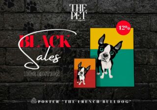 My frenchie is better than yours 🐼 Η τέχνη και οι σκύλοι πάνε μαζί, τώρα στο δικό σου τοίχο!🖼 Διάλεξε το poster σε πορτοκαλί ή πράσινο συνδυασμό χρωμάτων.Aυτόν τον μήνα το 🔴κατακόκκινο THE PET θα βαφτεί σιγά-σιγά ⚫μαύρο, μέχρι και την Black Friday! Κάθε βδομάδα θα βρείτε νέα Pawesome Sales έκπληξη!Με κάθε αγορά σας από το www.the-pet.shop άνω των €50 χαρίζετε ένα κρεβατάκι στο @filozwiko_swmateio_nikaias ➕ έχετε δωρεάν μεταφορικά!#THEPET #BlackSales